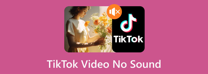 No Sound on TikTok Video Fix