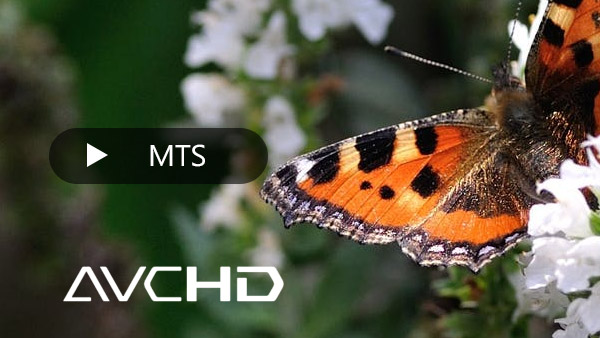 How To Play Avchd Mts M2ts Files On Computer