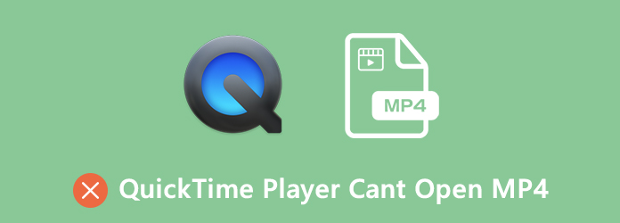 quicktime player not playing video