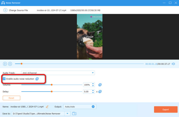 Enable Audio Noise Reduction