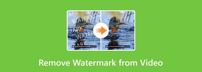 7 Easiest Ways to Remove Watermark/Logo from Video