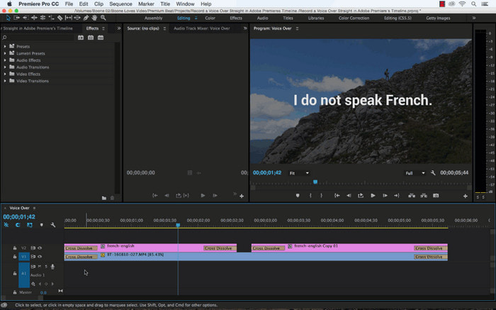 Adobe Premiere Pro Voiceover