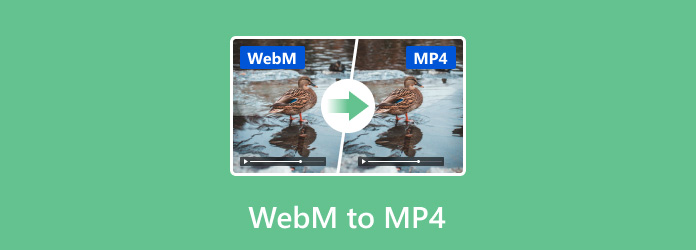 WebM to MP4 converter