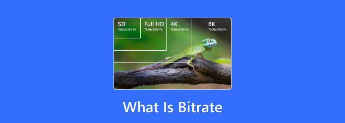 What Is Bitrate and Why It Is Important for Videos