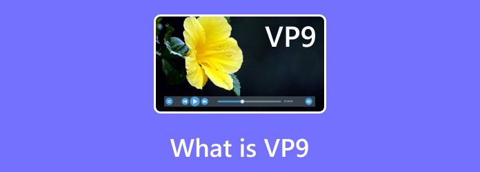 What is VP9