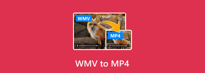 best way to play wmv on mac