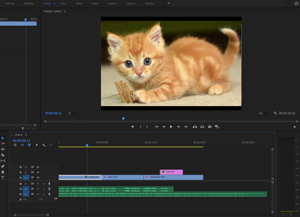 Adobe Premiere Pro